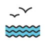 fly